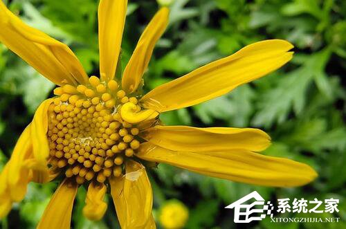 vivo X27拍照好用吗？vivo X27手机拍照性能实测
