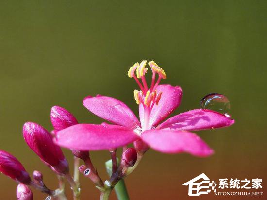 华为P30系列拍照好用吗？华为P30系列拍照性能实测