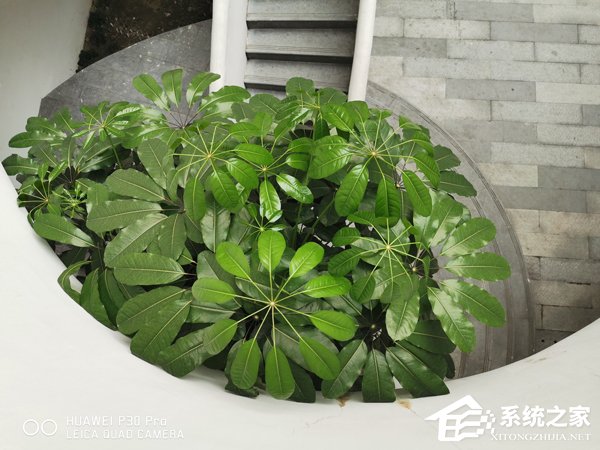 华为P30 Pro怎么样?华为P30 Pro体验评测