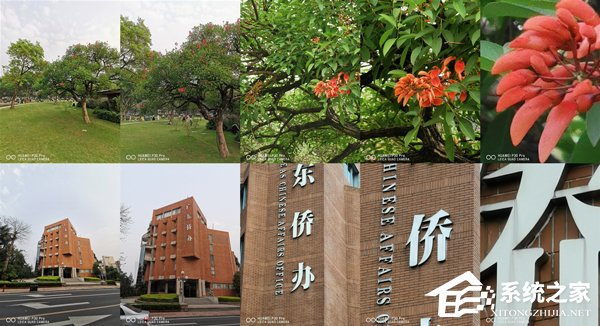 华为P30 Pro怎么样?华为P30 Pro体验评测