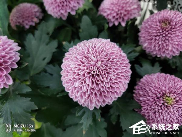 魅族16s好不好？魅族16s手机评测