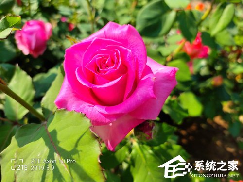 天机Axon 10 Pro怎么样？中兴天机Axon 10 Pro体验评测