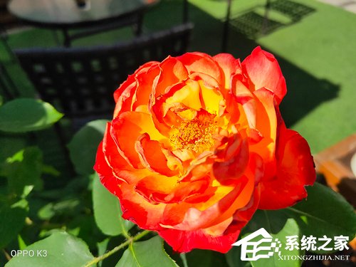 OPPO K3好不好？OPPO K3手机评测