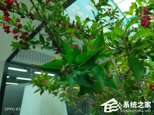 OPPO K3好不好？OPPO K3手机评测