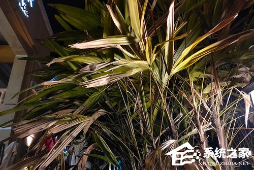 OPPO K3好不好？OPPO K3手机评测