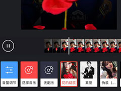 趣推玫瑰花开特效怎么弄？趣推玫瑰花开特效制作的方法