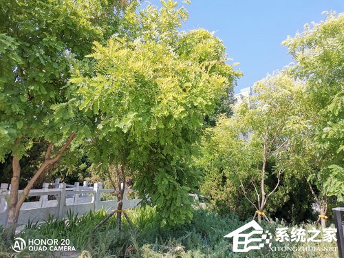 荣耀20好不好？荣耀20上手评测