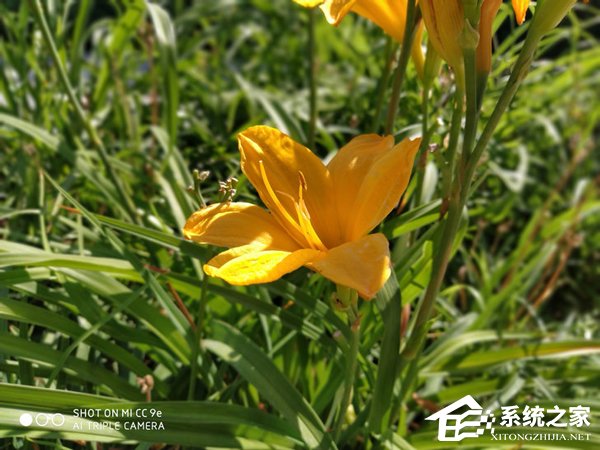 小米CC9e好不好？小米CC9e手机体验评测