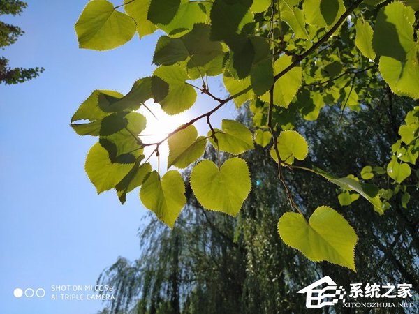 小米CC9e好不好？小米CC9e手机体验评测