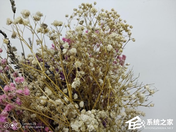联想Z6拍照好用吗?联想Z6手机上手评测