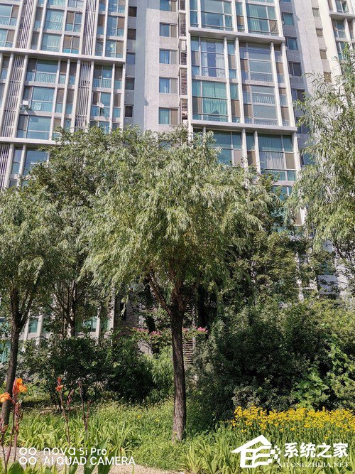 华为nova 5i Pro好不好？华为nova 5i Pro上手评测