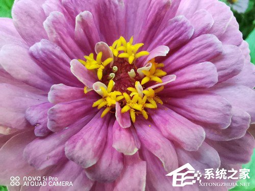 华为nova 5i Pro好不好？华为nova 5i Pro上手评测