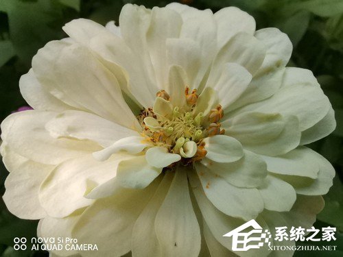 华为nova 5i Pro好不好？华为nova 5i Pro上手评测