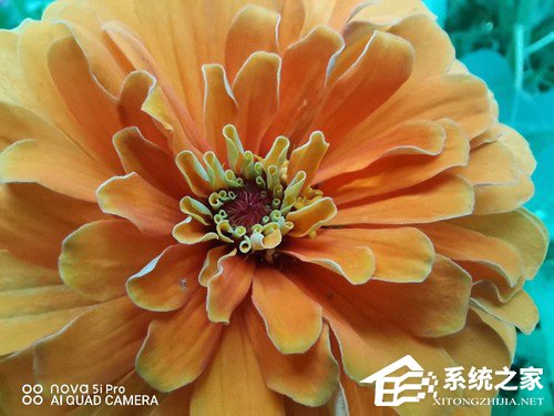 华为nova 5i Pro好不好？华为nova 5i Pro上手评测