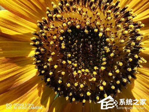 华为nova 5i Pro好不好？华为nova 5i Pro上手评测