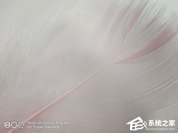 iQOO Pro拍照怎么样？iQOO Pro手机拍照性能实测