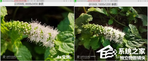 realme XT怎么样?realme XT海外版体验评测