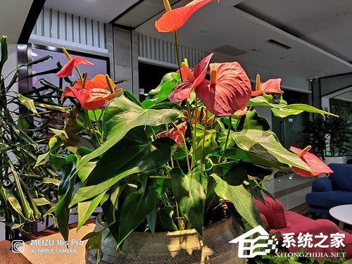 魅族16s Pro好用吗？