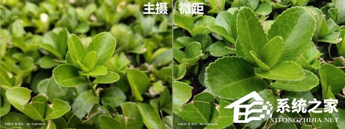 vivo NEX 3 5G版怎么样？