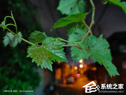 vivo NEX 3 5G版怎么样？