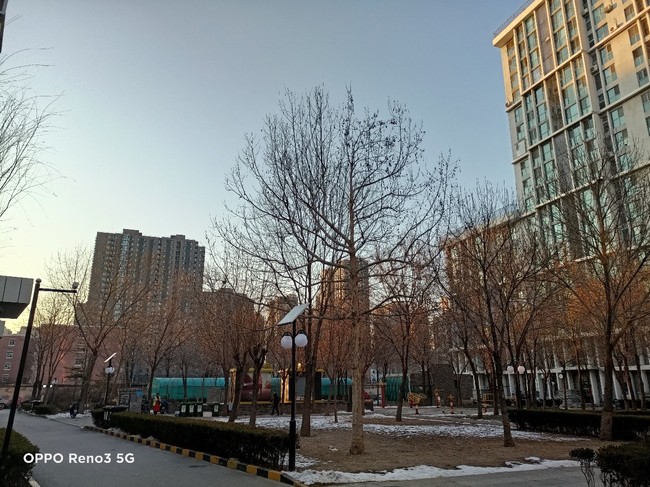 OPPO Reno3好用吗？