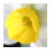 http://xitongzhijia.mg188.cn/lib/img5/allimg/200327/108-20032G606190.jpg