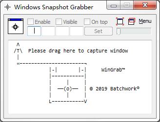 Windows Snapshot Grabber