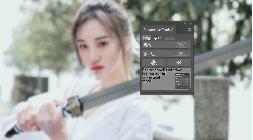 Perspective Tools