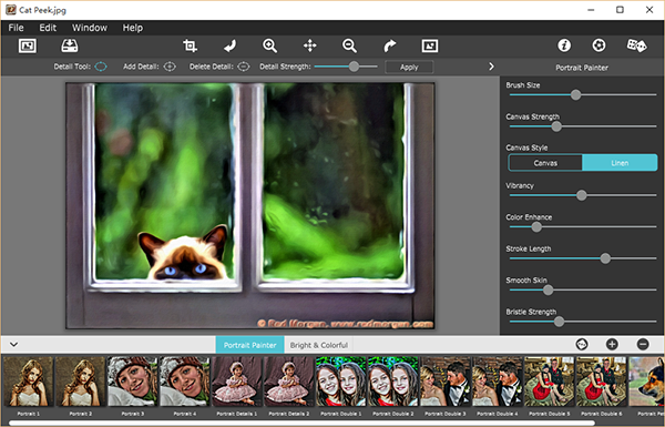 JixiPix Portrait Painter