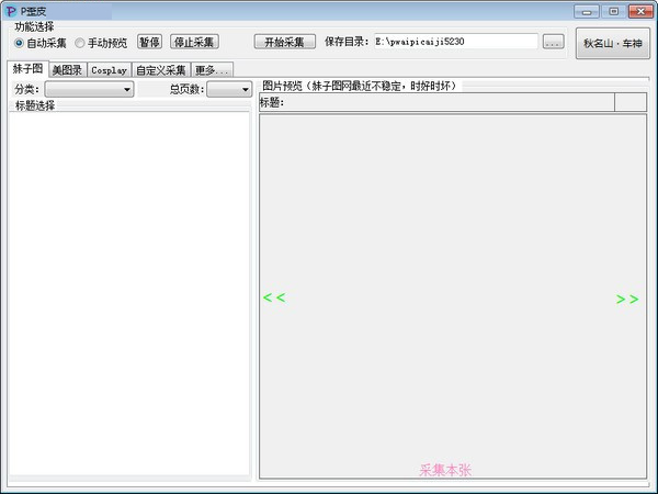 P歪皮