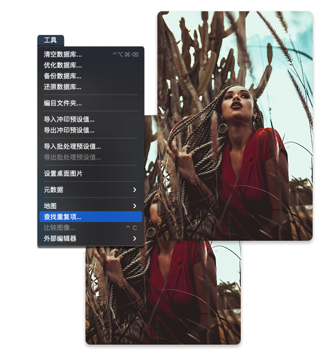 ACDSee Photo Studio