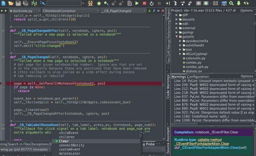 Wing IDE Pro