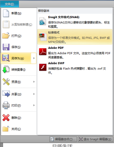 TechSmith Snagit