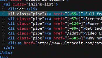 IDM UltraEdit