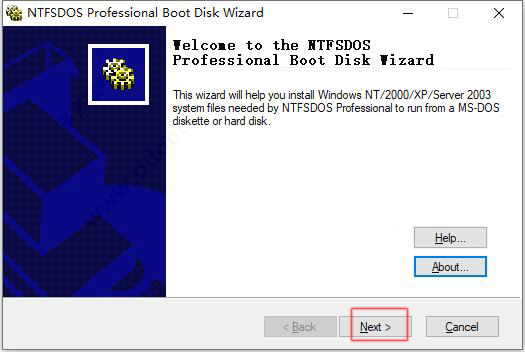 Ntfsdos Pro