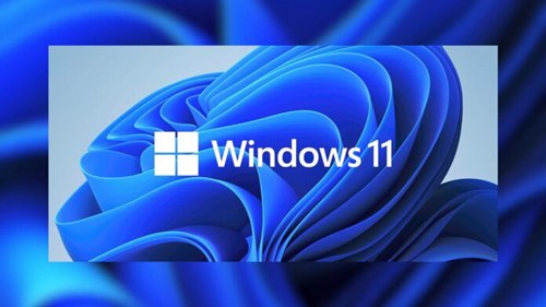 Win11安全中心部分功能无法打开