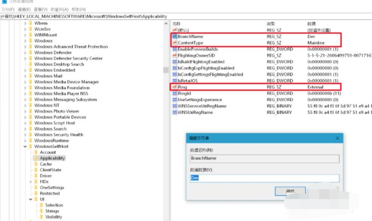 Windows 11 22538.1000 (rs_prerelease