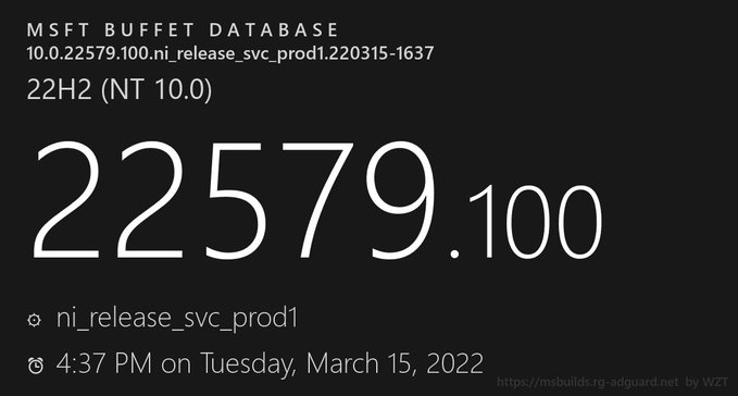 微软Win11 Builds 22579.100(KB5013192