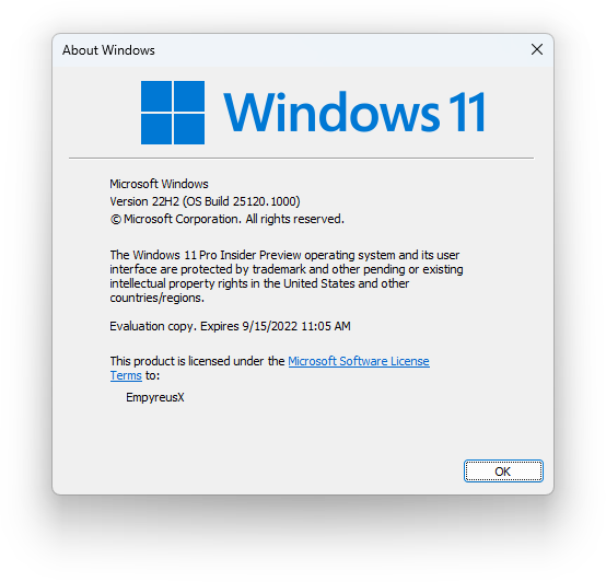 微软Win11 KB5015039(25120.1010)Dev预