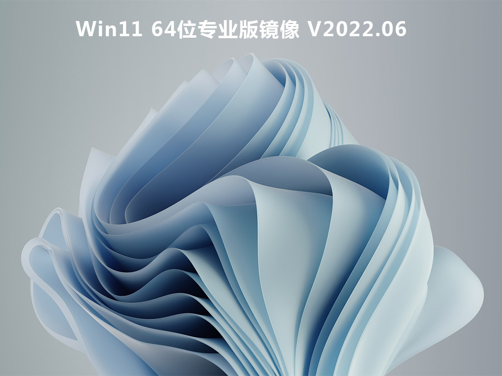 Win11 64位专业版镜像 V2022.06