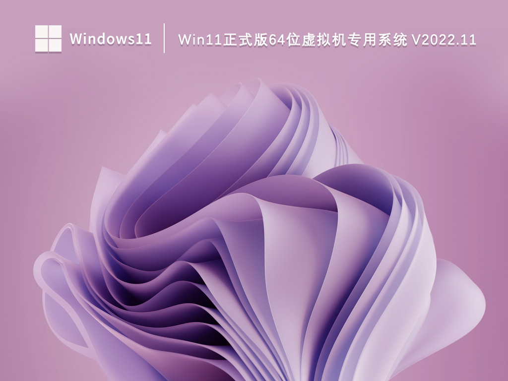 Win11正式版64位虚拟机专用系统 V2022.11