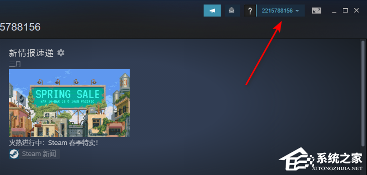 怎么隐藏Steam游戏状态?