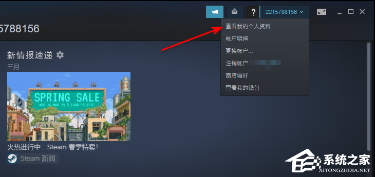 怎么隐藏Steam游戏状态?