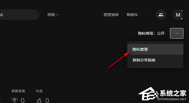 Epic怎么隐藏自己的成就？