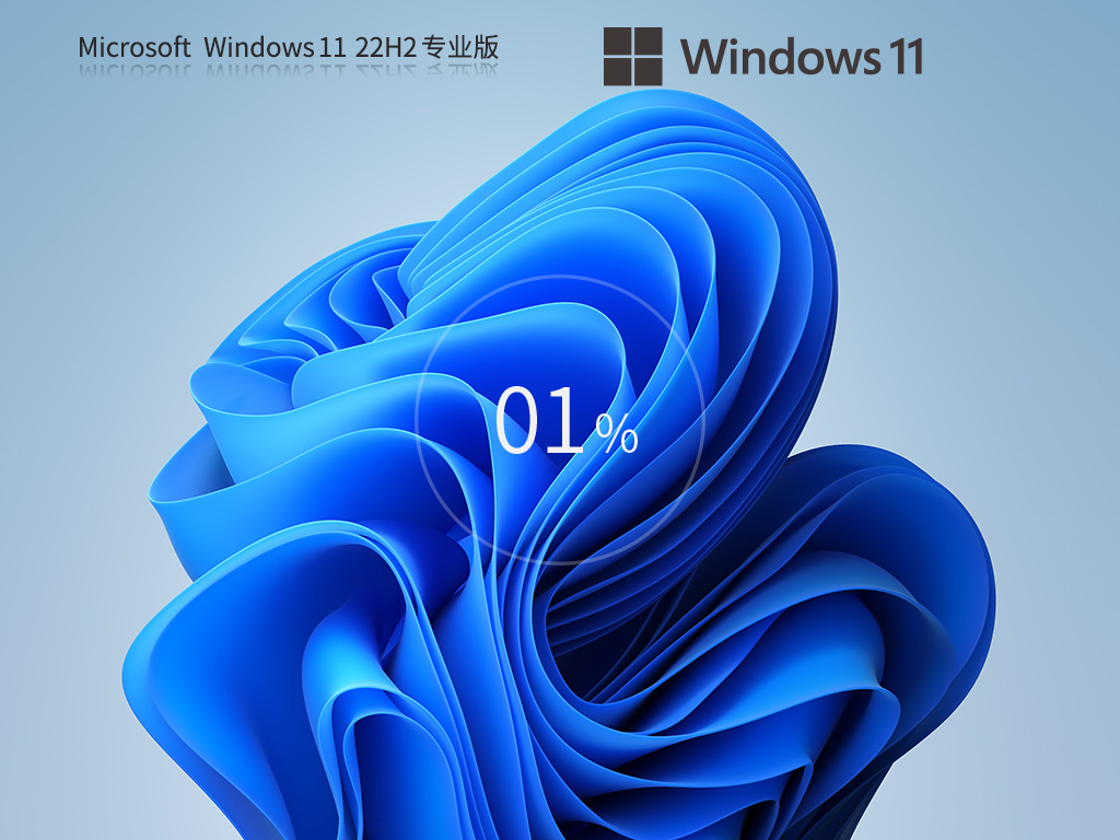 Windows11 22H2 64位 最新专业版 V22621.2428