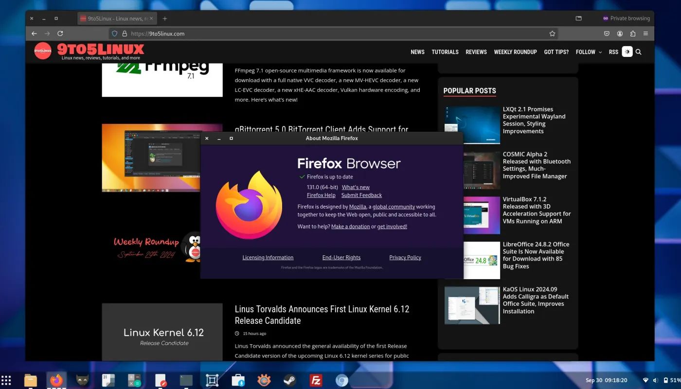 火狐 Firefox 浏览器 131 登场：重点引入了临时站点权限功能