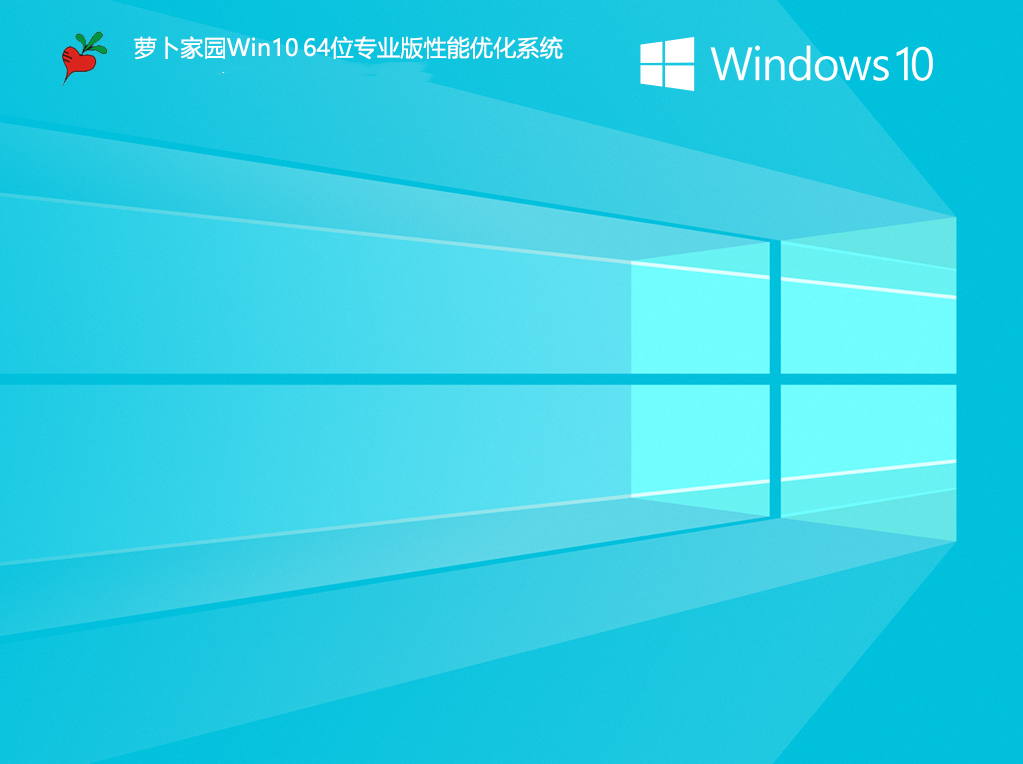 萝卜家园Win10 64位专业版性能优化系统