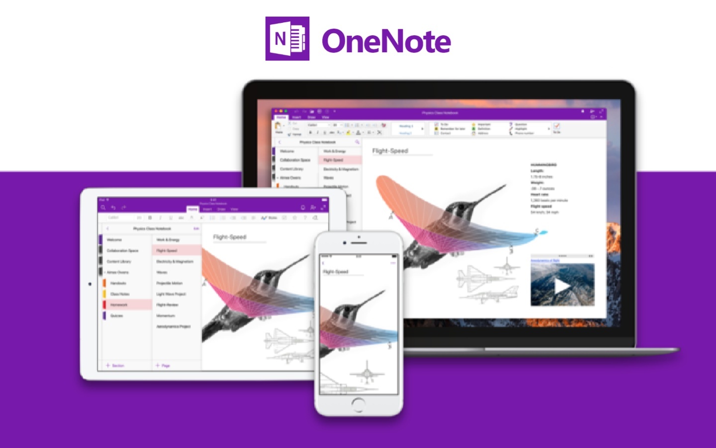 微软宣布 OneNote for Win10 十月停止