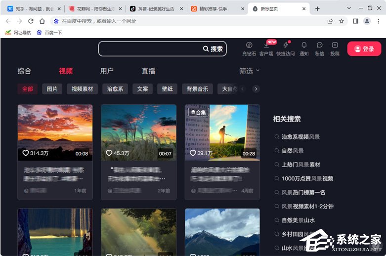 芝麻浏览器