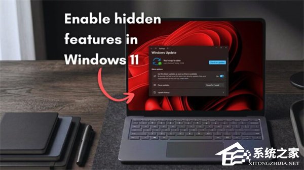 Windows 11 将推功能标志页面！